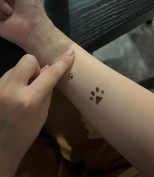 感温变色应用-猫爪温感变色纹身贴