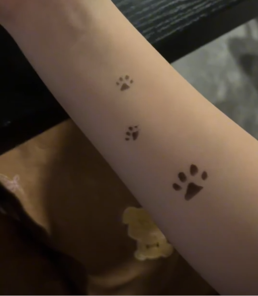 感温变色应用-猫爪温感变色纹身贴